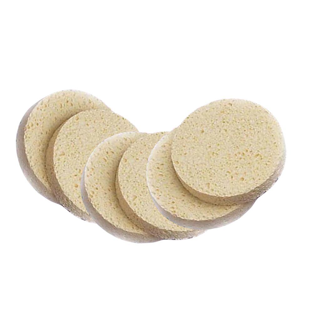 Sponge Treatment Cleansing (econo Class) 6 Pack