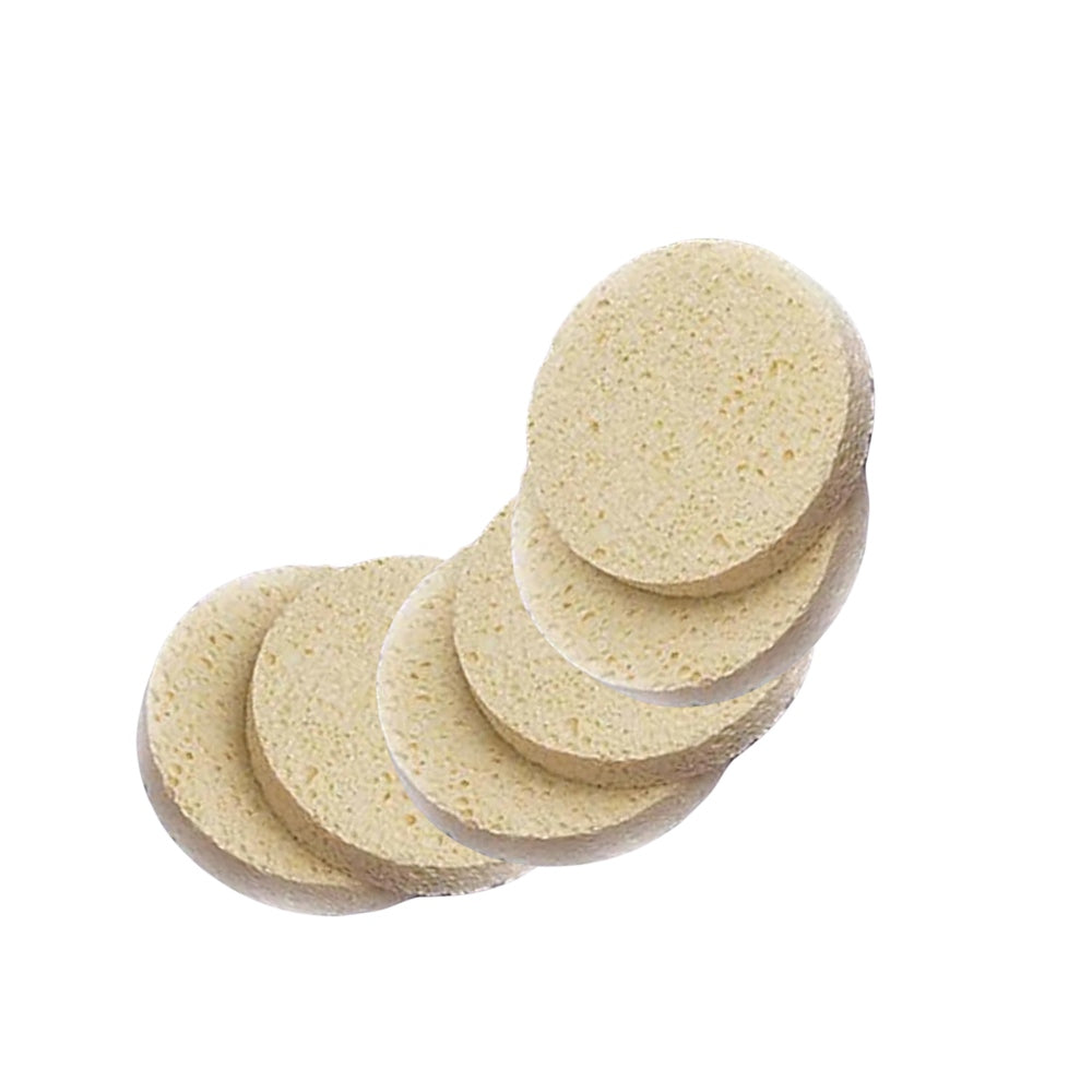 Sponge Treatment Cleansing (econo Class) 6 Pack