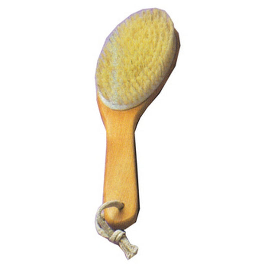 Curved Exfoliating Dry Brush