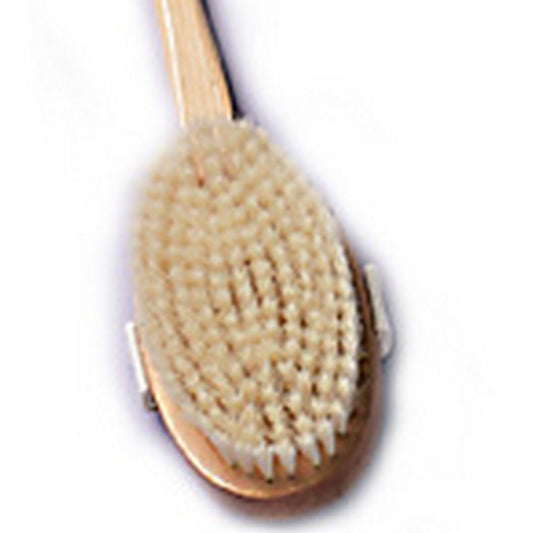 Bath Brush Long Handle Exfoliating