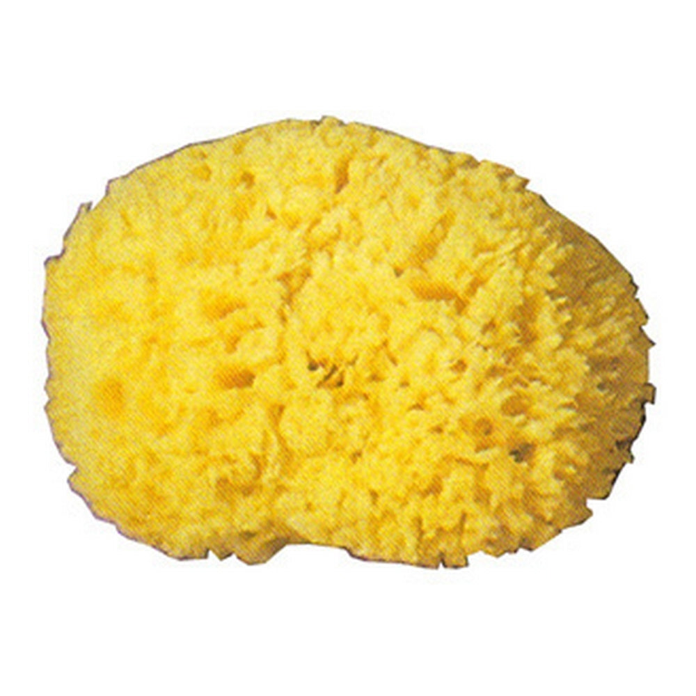 Sponge Pro Natural Bath